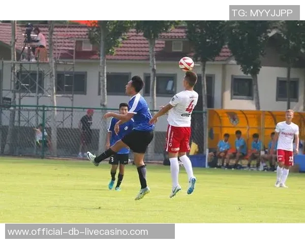 大连一方足球崛起之路：从青训到职业联赛的奋斗与荣耀